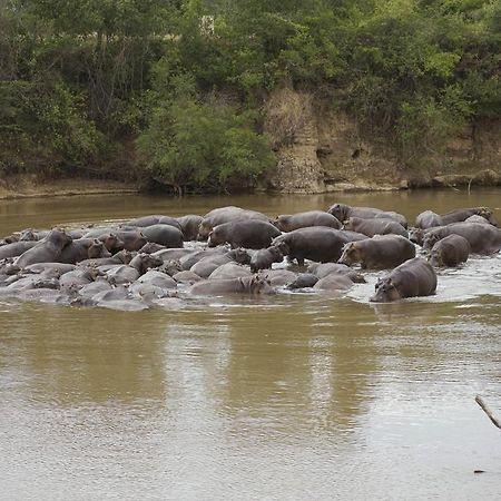 Ngerende Island Lodge (Adults Only) Maasai Mara Exteriér fotografie