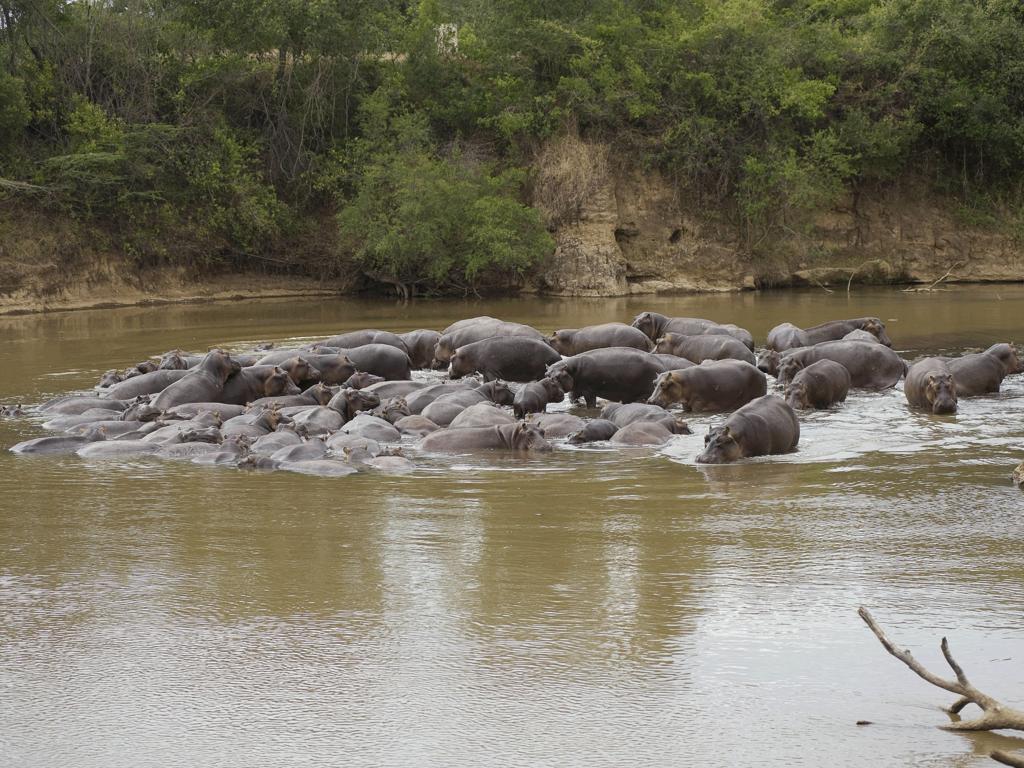 Ngerende Island Lodge (Adults Only) Maasai Mara Exteriér fotografie